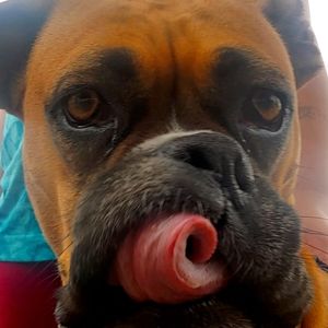 Meet your Posher, Richelle